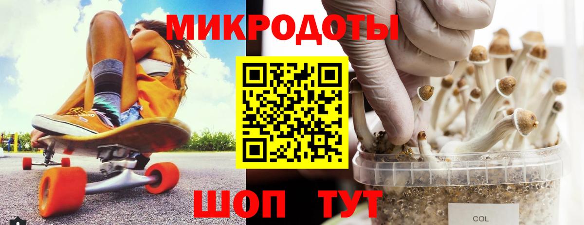 Псилоцибиновые грибы ЛСД Вольск