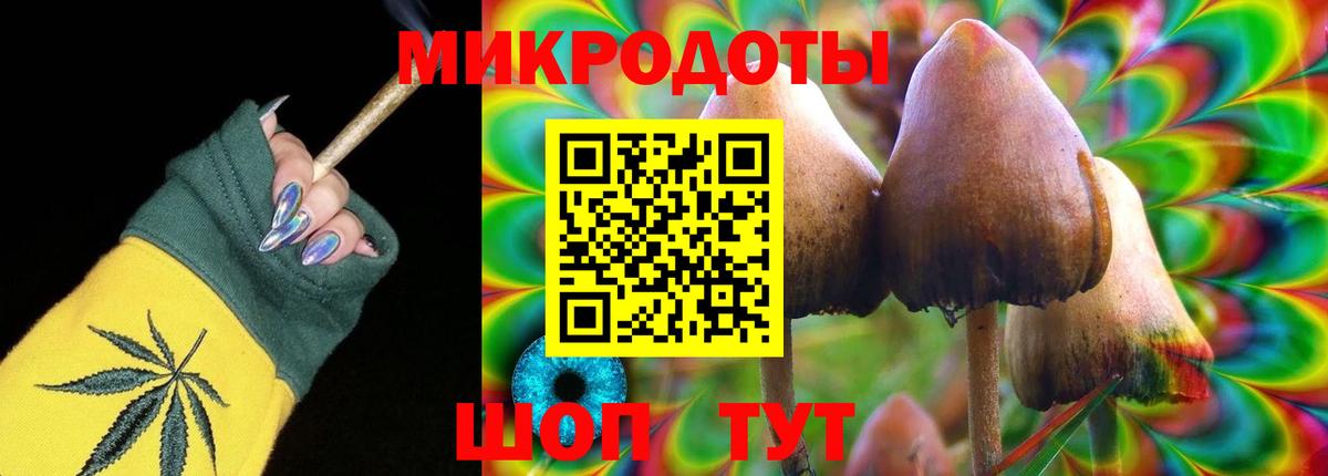 Псилоцибиновые грибы MAGIC MUSHROOMS  Вход с VPN  Вольск  где найти   Псилоцибиновые грибы мицелий 
